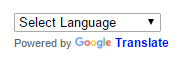 Google Translate dropdown