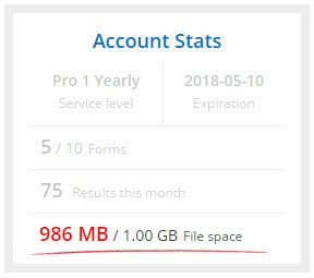 Formsite file upload account stats