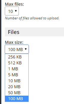 Formsite multiple file uploads settings