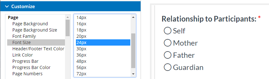 Formsite new input styles size