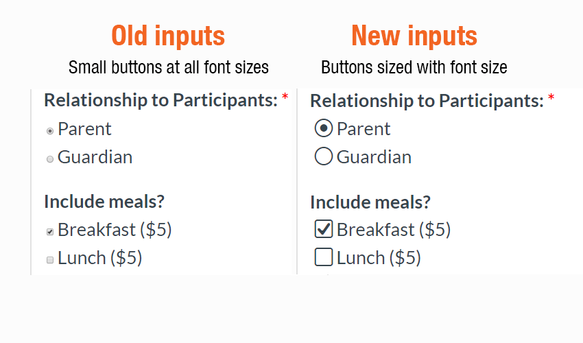 Formsite new input styles